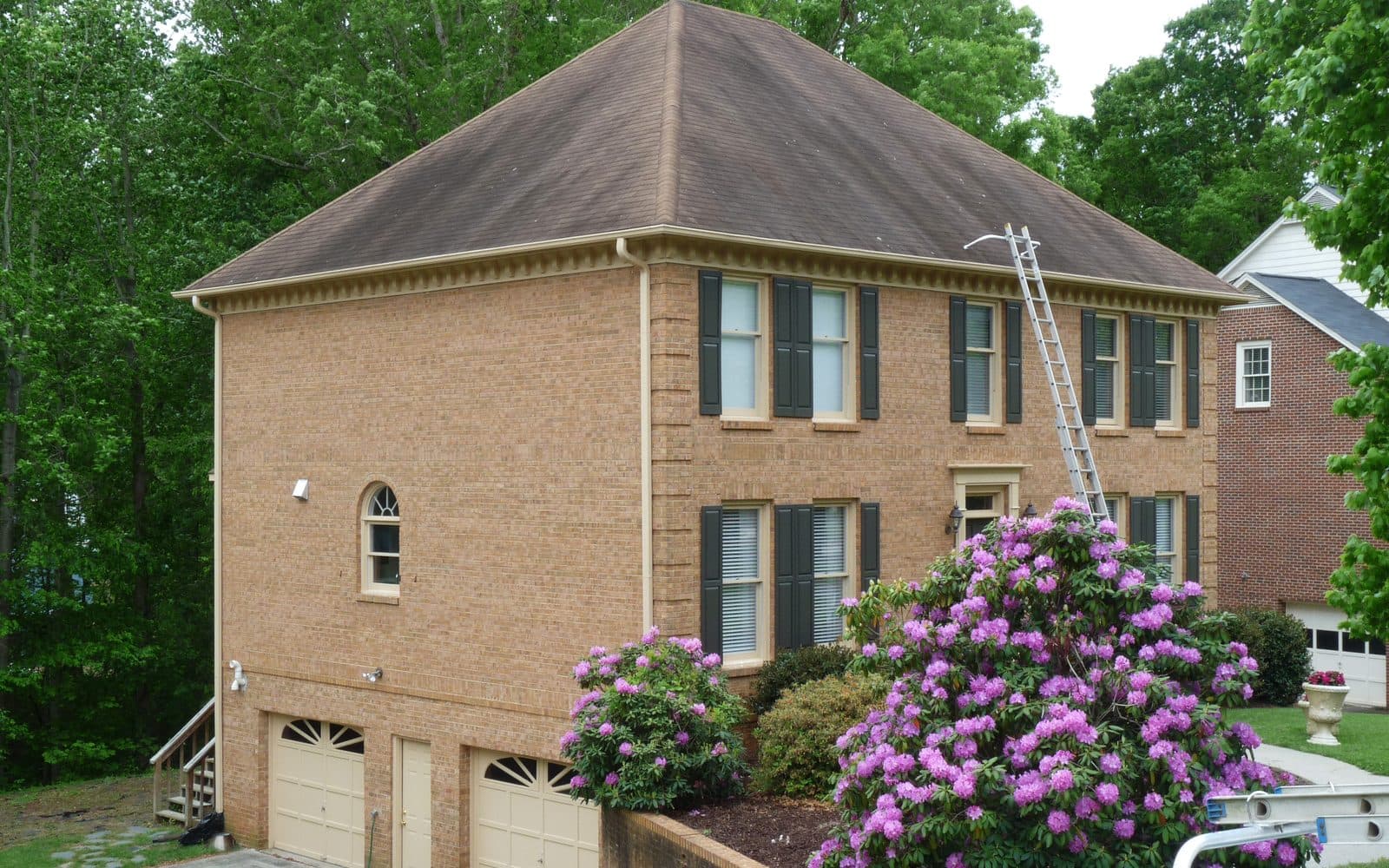 Shingle roof covered in dark algae streaks before soft washing by Maverick Softwash