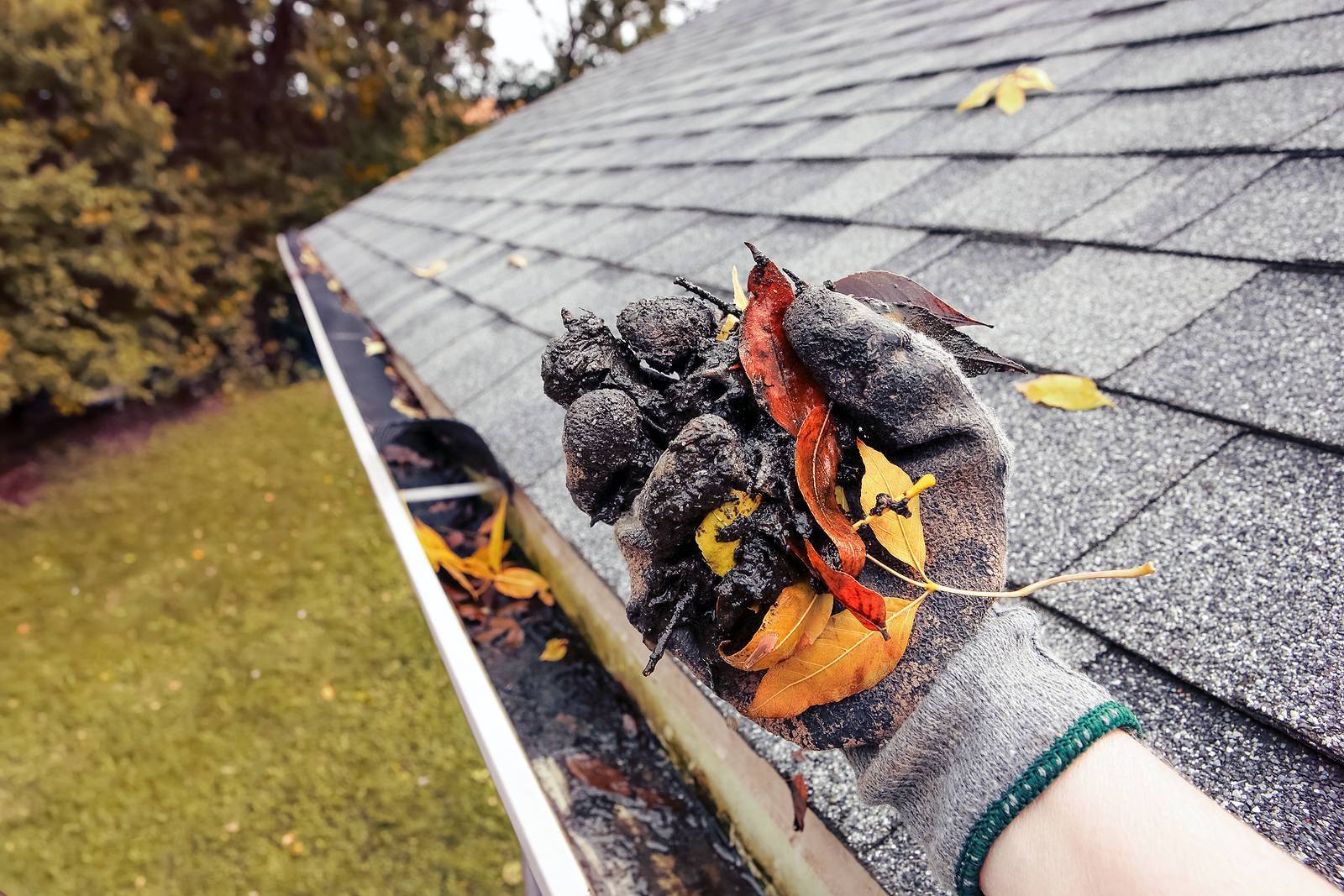 Example of a gutter packed with leaves and debris